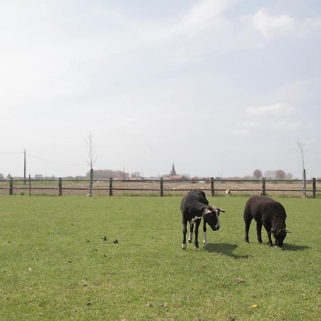 Gasthof Schraevenacker Vleteren ภายนอก รูปภาพ